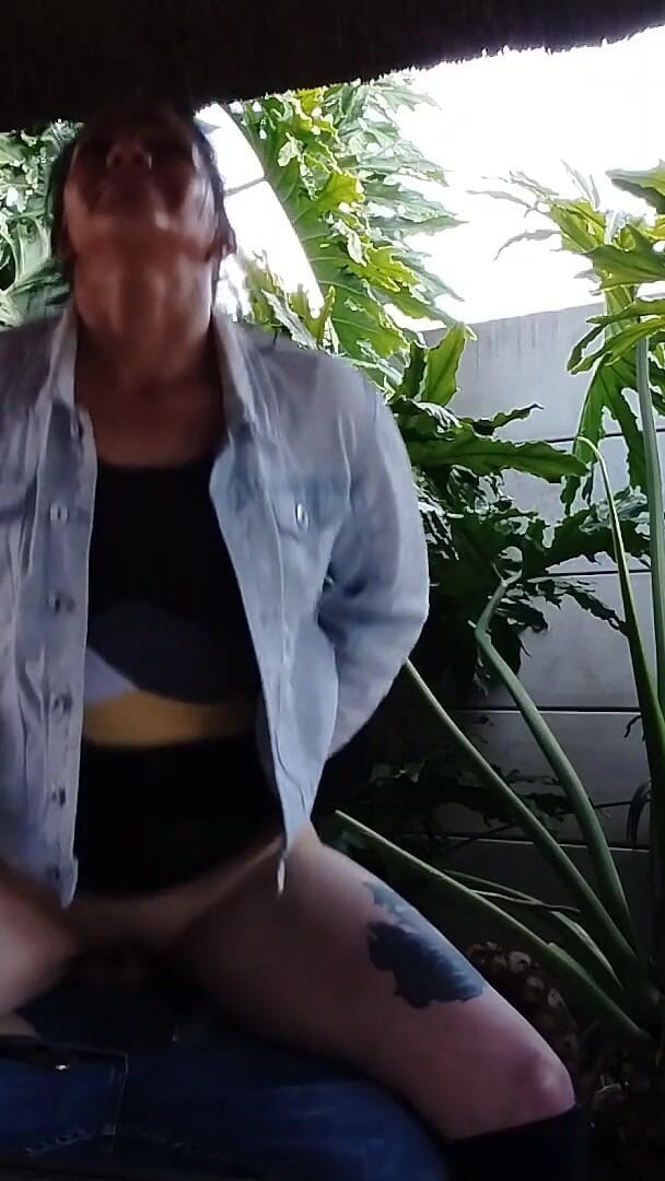 Zippy Nippy (Big Joe fuck a lot)