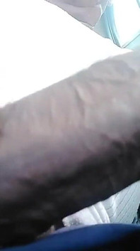 Sexy Cock