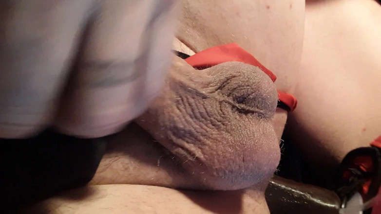 Harley Paradise: Another Pegging Video