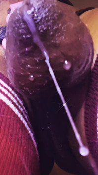 Ms300 Sarazia Exotic Leak 4