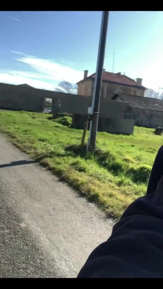 Loola et jim: Mała chwiejka w pnączach