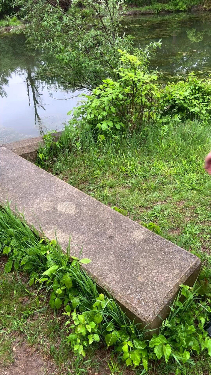 Barenakedmuscles: Un muscle asiatique nu se promène dans le parc
