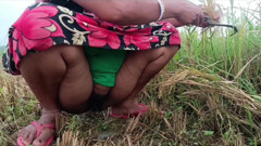 my house: Pee of the Village in Outdoor Field of Paddy Cutting...