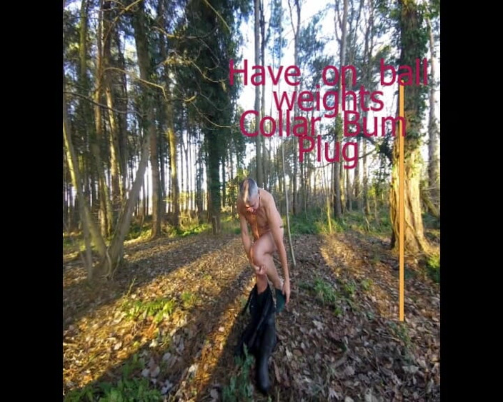 Andy: Mokre lasy