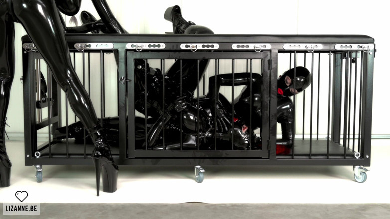 Lizanne: The Cage