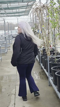 Plant Shopping