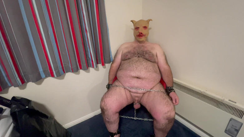 Aaexperiencesltd: Domina si nechá oholit kundičku, zatímco prasátko se dívá na