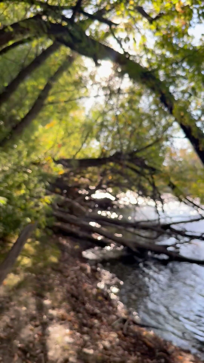 unemployedrobot: Masturbare publică Boise Idaho Greenbelt - traseu de mers pe jos...