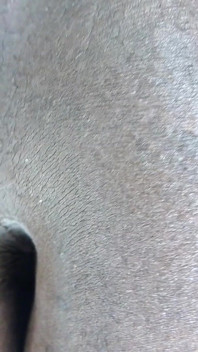 POV černá tlustá Sissy Sedí a stříká na tebe