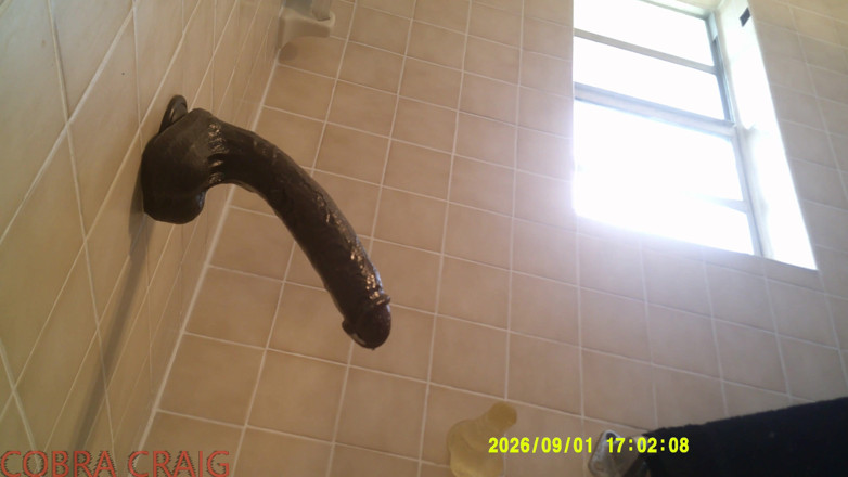 COBRA CRAIG: 9-1-2026 Riding Bad Bad Leroy Brown the Biggest Dildo in...