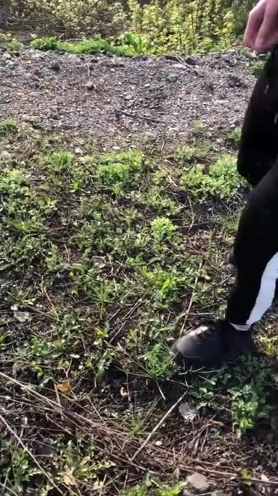 Dick Boys Studio: Extrême. Il Branle Sa Grosse Bite À La Gare