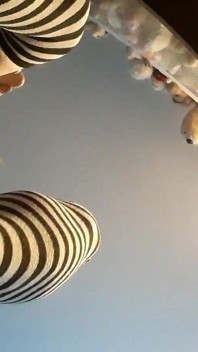 Princess Udders 2019 Cumpilation (wide)