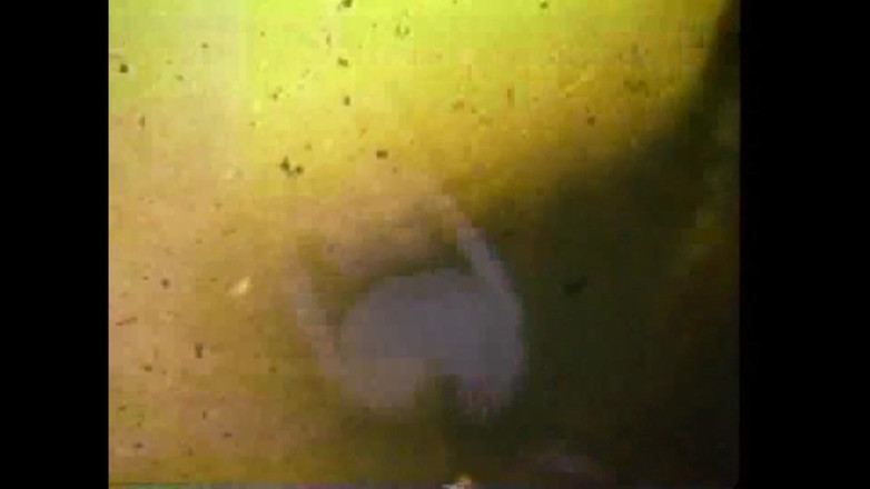 The Unforgettable: Bláznivá masturabada