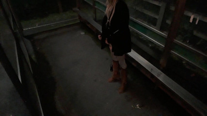 The Midnight Minx: Rozbiórka wiaty autobusowej