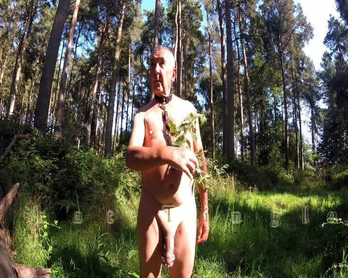 Andy: Nettle Play in the Woods