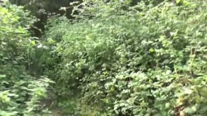 FIRST SEX EXPERIENCE WITH BOY: Fucked in exhib forest cruising by strazight boiy curious