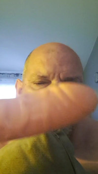 The Destroyed Bitch