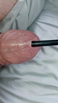 Prepúcio Jogo comPhimosis Grande Pau!