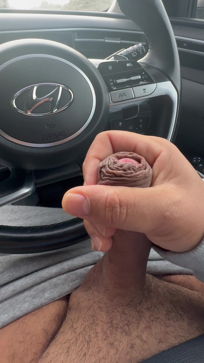 Hot dick in your ass: エッチなドライバー、ザーメン噴水を見せるために立ち止まる