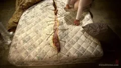 Daffodils: BBW Juicy Fuck Indulgence