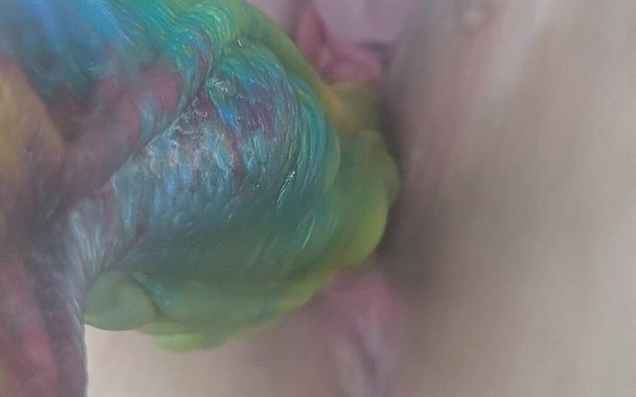Curvy_Mommy: Grote kleurrijke gekke dildo en een kleine transparante dildo