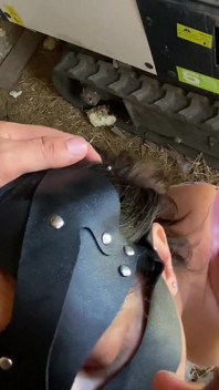 Super Hot Farm Inspector MILF Straight Ass Fucked to Avoid a Contract Penalty