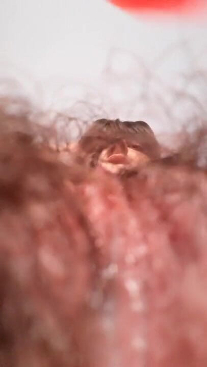 ViviBush: Hairy teen giantess finds her little stepbrother