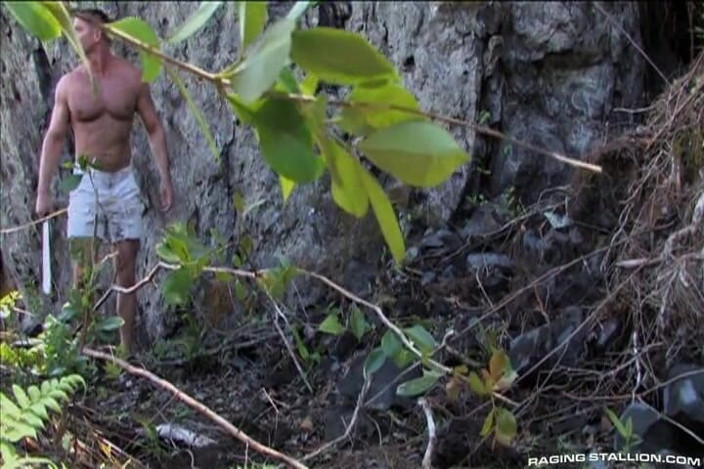 Raging Stallion: Lords of the Jungle