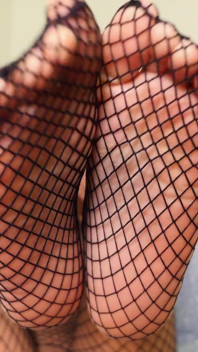 Cagna del piede sbavando per piedi a rete