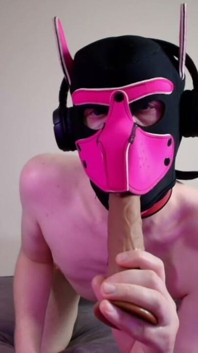 This Could Be Your Cock in Hound's Mouth