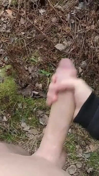 숲속의 핸잡