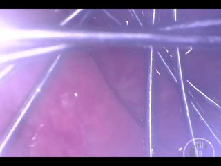 Lina Free: Whisk Spreading My Ass From Inside