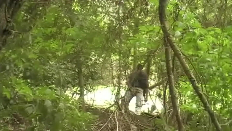 Jess Royan XXX: Fucked in exhibit near a river by straight curious boy