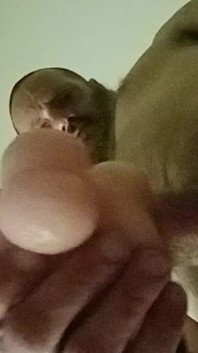 Fuckin Masterbator in Hotel Prt 2