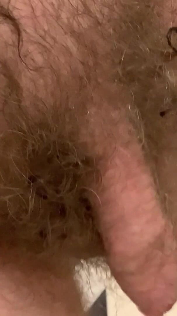 Hairy Uncut Dad Bone (Dad Boner) Hairy Uncut Dad Bone (Dad Boner)