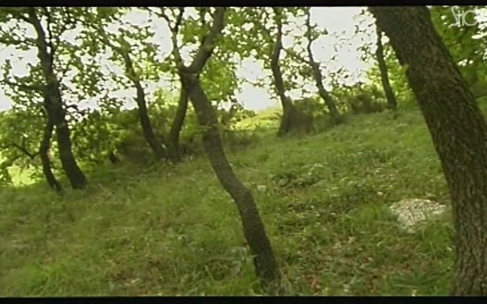 Showtime Official: Пылкий иностранец - полный фильм - итальянское видео, восстановленное в HD