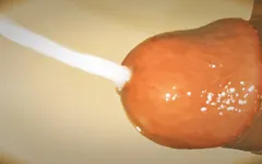 Desi Cumshot