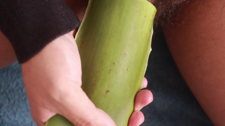 MGEc21: Aloe Vera ile Tam Saman Seansı