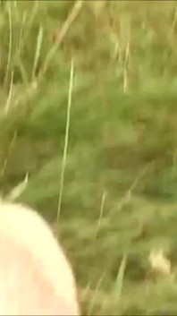 Moans while two cocks in the 'open fuck her pussy