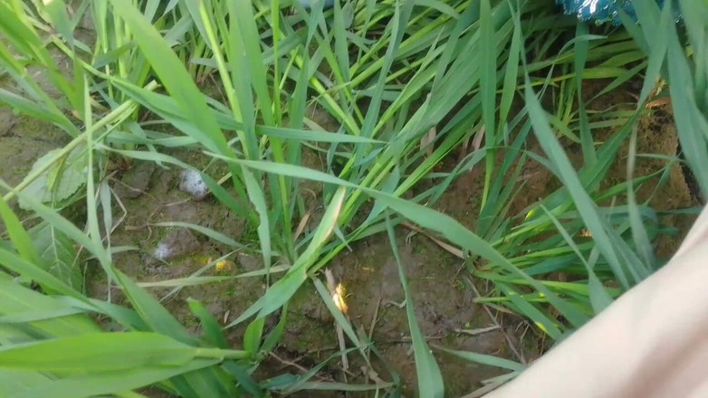 Abida pavreen: 내 보지를 야외에서 핥는 섹시한 금발의 XXX: 임의의 남자