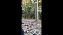 megu2002: Selbsttraining, no19 belichtung zu hause aus dem park