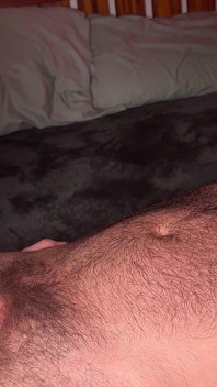 A Wolf Gets Fucked by a Bear