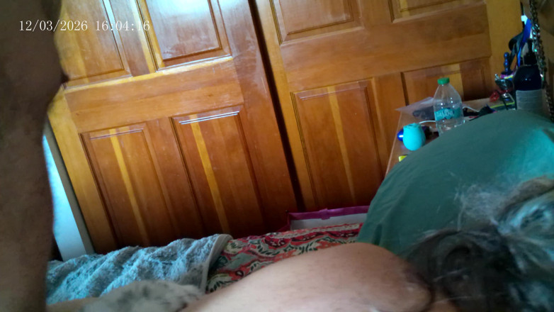 Ramblin Rows: Dogging the Kitten