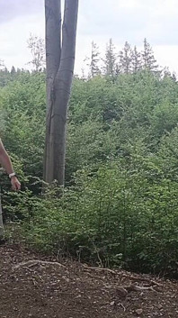 Mezi Buky: Drsná Exhibice Na Holém Dřevě