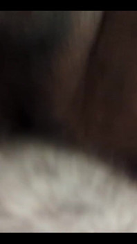 Hairy Men Having Sex