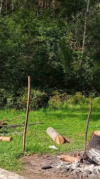 Гаряча брюнетка трахається раком в анал у лісі