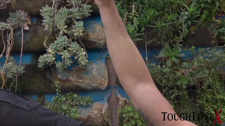 ToughLoveX: カール・タフラブがアリエラ・フェレーラと共にビジョンの探求に挑む