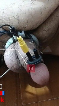 Keseronokan Estim petang 20260613