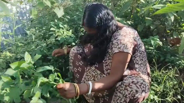 Sexyrani327: Indiana na selva