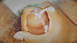 Daydreaming.. Reality to Dream. See the Dick Grow From Cute to a Perfect One.. Who Needs It? Comment Fast.